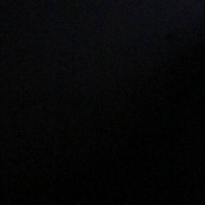 Meet your Posher, Veena